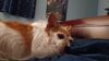 Filename=20230617_003.jpg
Filesize=242KiB
Dimensions=2048x1152
Date added=Sep 07, 2023 20230617_003.jpg