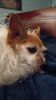 Filename=20230617_004.jpg
Filesize=313KiB
Dimensions=1152x2048
Date added=Sep 07, 2023 20230617_004.jpg
