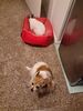 Filename=20230617_005.jpg
Filesize=784KiB
Dimensions=1536x2048
Date added=Sep 07, 2023 20230617_005.jpg
