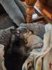 Filename=20230619_001.jpg
Filesize=489KiB
Dimensions=1536x2048
Date added=Sep 07, 2023 20230619_001.jpg