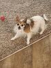 Filename=20230630_008.jpg
Filesize=985KiB
Dimensions=1536x2048
Date added=Sep 07, 2023 20230630_008.jpg