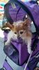 Filename=20230701_020.jpg
Filesize=298KiB
Dimensions=1152x2048
Date added=Sep 14, 2023 20230701_020.jpg
