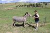 Filename=20230701_023.jpg
Filesize=805KiB
Dimensions=2048x1365
Date added=Sep 14, 2023 20230701_023.jpg