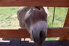 Filename=20230701_027.jpg
Filesize=426KiB
Dimensions=2048x1365
Date added=Sep 14, 2023 20230701_027.jpg
