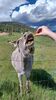 Filename=20230701_061.jpg
Filesize=534KiB
Dimensions=1152x2048
Date added=Sep 14, 2023 20230701_061.jpg