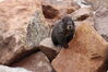 Filename=20230702_033.jpg
Filesize=763KiB
Dimensions=2048x1365
Date added=Sep 17, 2023 20230702_033.jpg