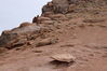 Filename=20230702_076.jpg
Filesize=700KiB
Dimensions=2048x1365
Date added=Sep 17, 2023 20230702_076.jpg