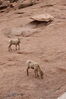 Filename=20230702_080.jpg
Filesize=914KiB
Dimensions=1365x2048
Date added=Sep 17, 2023 20230702_080.jpg
