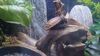 Filename=20230703_053.jpg
Filesize=304KiB
Dimensions=2048x1152
Date added=Sep 17, 2023 20230703_053.jpg