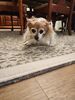 Filename=20230704_002.jpg
Filesize=491KiB
Dimensions=1536x2048
Date added=Sep 24, 2023 20230704_002.jpg