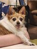 Filename=20230705_016.jpg
Filesize=484KiB
Dimensions=1536x2048
Date added=Sep 24, 2023 20230705_016.jpg