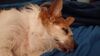 Filename=20230705_021.jpg
Filesize=210KiB
Dimensions=2048x1152
Date added=Sep 24, 2023 20230705_021.jpg