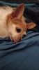 Filename=20230705_022.jpg
Filesize=329KiB
Dimensions=1152x2048
Date added=Sep 24, 2023 20230705_022.jpg