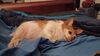 Filename=20230705_023.jpg
Filesize=256KiB
Dimensions=2048x1152
Date added=Sep 24, 2023 20230705_023.jpg