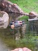 Filename=20230706_018.jpg
Filesize=933KiB
Dimensions=1536x2048
Date added=Sep 24, 2023 20230706_018.jpg