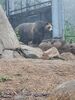 Filename=20230706_022.jpg
Filesize=894KiB
Dimensions=1536x2048
Date added=Sep 24, 2023 20230706_022.jpg