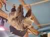 Filename=20230706_030.jpg
Filesize=496KiB
Dimensions=2048x1536
Date added=Sep 24, 2023 20230706_030.jpg