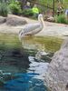 Filename=20230706_033.jpg
Filesize=711KiB
Dimensions=1536x2048
Date added=Sep 24, 2023 20230706_033.jpg