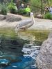 Filename=20230706_034.jpg
Filesize=754KiB
Dimensions=1536x2048
Date added=Sep 24, 2023 20230706_034.jpg