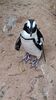 Filename=20230706_035.jpg
Filesize=626KiB
Dimensions=1152x2048
Date added=Sep 24, 2023 20230706_035.jpg