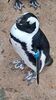 Filename=20230706_039.jpg
Filesize=614KiB
Dimensions=1152x2048
Date added=Sep 24, 2023 20230706_039.jpg