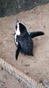 Filename=20230706_041.jpg
Filesize=917KiB
Dimensions=1152x2048
Date added=Sep 24, 2023 20230706_041.jpg