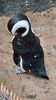 Filename=20230706_043.jpg
Filesize=567KiB
Dimensions=1152x2048
Date added=Sep 24, 2023 20230706_043.jpg