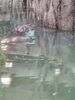 Filename=20230706_050.jpg
Filesize=533KiB
Dimensions=1536x2048
Date added=Sep 24, 2023 20230706_050.jpg