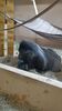 Filename=20230706_062.jpg
Filesize=444KiB
Dimensions=1152x2048
Date added=Sep 24, 2023 20230706_062.jpg