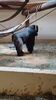 Filename=20230706_063.jpg
Filesize=484KiB
Dimensions=1152x2048
Date added=Sep 24, 2023 20230706_063.jpg