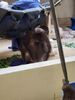 Filename=20230706_066.jpg
Filesize=445KiB
Dimensions=1536x2048
Date added=Sep 24, 2023 20230706_066.jpg