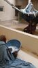 Filename=20230706_067.jpg
Filesize=292KiB
Dimensions=1152x2048
Date added=Sep 24, 2023 20230706_067.jpg