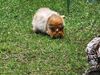 Filename=20230706_074.jpg
Filesize=1183KiB
Dimensions=2048x1536
Date added=Sep 24, 2023 20230706_074.jpg