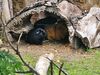 Filename=20230706_077.jpg
Filesize=796KiB
Dimensions=2048x1536
Date added=Sep 24, 2023 20230706_077.jpg