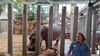 Filename=20230706_078.jpg
Filesize=488KiB
Dimensions=2048x1152
Date added=Sep 24, 2023 20230706_078.jpg