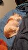Filename=20230707_011.jpg
Filesize=247KiB
Dimensions=1152x2048
Date added=Sep 24, 2023 20230707_011.jpg