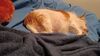 Filename=20230707_012.jpg
Filesize=330KiB
Dimensions=2048x1152
Date added=Sep 24, 2023 20230707_012.jpg