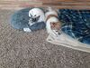 Filename=20230709_002.jpg
Filesize=714KiB
Dimensions=2048x1536
Date added=Sep 24, 2023 20230709_002.jpg