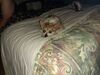 Filename=20230715_001.jpg
Filesize=555KiB
Dimensions=2048x1536
Date added=Sep 24, 2023 20230715_001.jpg