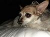 Filename=20230715_002.jpg
Filesize=634KiB
Dimensions=2048x1536
Date added=Sep 24, 2023 20230715_002.jpg