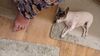 Filename=20230722_006.jpg
Filesize=498KiB
Dimensions=2048x1152
Date added=Feb 02, 2024 20230722_006.jpg