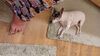 Filename=20230722_007.jpg
Filesize=480KiB
Dimensions=2048x1152
Date added=Feb 02, 2024 20230722_007.jpg
