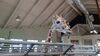 Filename=20230803_002.jpg
Filesize=357KiB
Dimensions=2048x1152
Date added=Feb 02, 2024 20230803_002.jpg