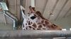 Filename=20230803_003.jpg
Filesize=311KiB
Dimensions=2048x1152
Date added=Feb 02, 2024 20230803_003.jpg