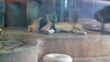 Filename=20230803_008.jpg
Filesize=349KiB
Dimensions=2048x1152
Date added=Feb 02, 2024 20230803_008.jpg
