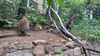 Filename=20230803_013.jpg
Filesize=852KiB
Dimensions=2048x1152
Date added=Feb 02, 2024 20230803_013.jpg