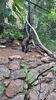 Filename=20230803_014.jpg
Filesize=949KiB
Dimensions=1152x2048
Date added=Feb 02, 2024 20230803_014.jpg