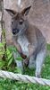 Filename=20230803_017.jpg
Filesize=389KiB
Dimensions=1152x2048
Date added=Feb 02, 2024 20230803_017.jpg