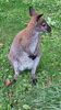 Filename=20230803_018.jpg
Filesize=825KiB
Dimensions=1152x2048
Date added=Feb 02, 2024 20230803_018.jpg