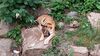 Filename=20230803_019.jpg
Filesize=738KiB
Dimensions=2048x1152
Date added=Feb 02, 2024 20230803_019.jpg